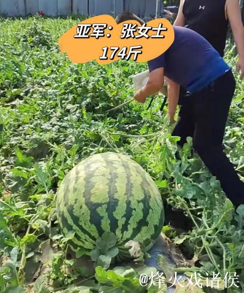 最新51吃瓜网热门大瓜内幕揭晓